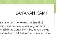 fitur website instant indocompany: layanan